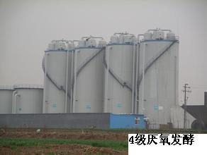 傢庭沼氣沼氣設備沼氣池乾式厭氧發酵沼氣無害化處理垃圾沼氣提純工廠,批發,進口,代購