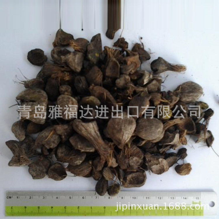 現貨棕櫚殼  生物質燃料  生物能源【圖】工廠,批發,進口,代購