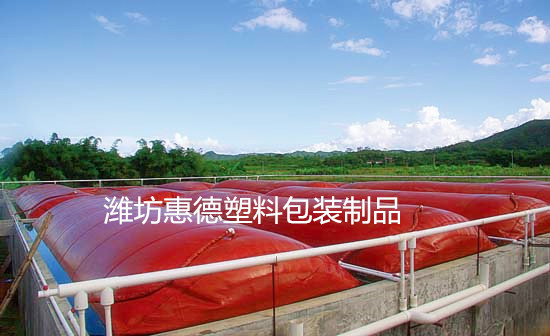 養殖場沼氣池    紅泥沼氣池   環保沼氣池工廠,批發,進口,代購