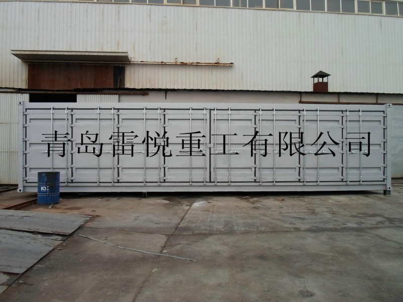 青島雷悅集裝箱20尺6米倉儲集裝箱40尺12米側開門集裝箱工廠,批發,進口,代購