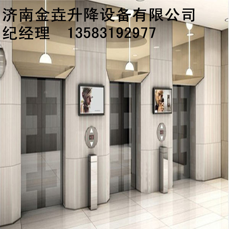 乘客電梯 傢用電梯 住宅電梯 小型乘客電梯工廠,批發,進口,代購