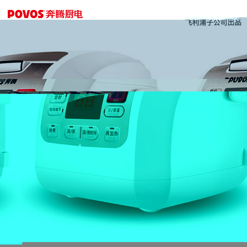 奔騰（POVOS) FN496電飯鍋正品特價4L 迷你傢用智能電飯煲工廠,批發,進口,代購