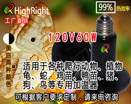 陶瓷加熱燈 寵物 保溫器 恒溫器規格 120V60W工廠,批發,進口,代購