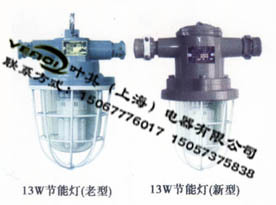 提供批發價山西陽泉圓形13W礦用隔爆型節能燈工廠,批發,進口,代購