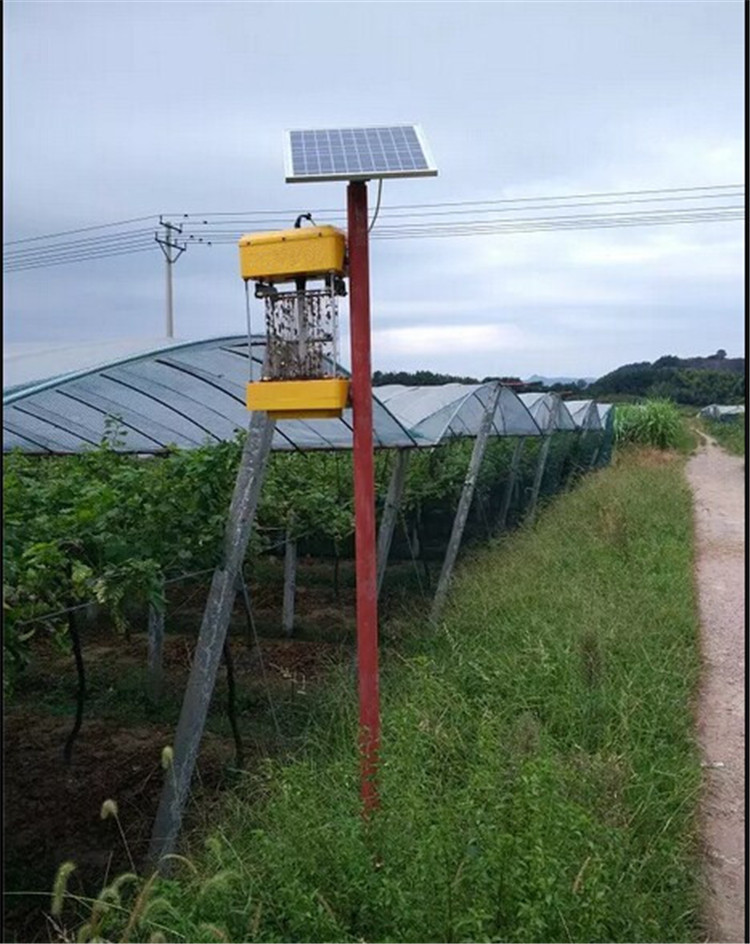 廠傢定製頻振式太陽能殺蟲燈戶外農用果園滅蟲燈茶園菜地誘蟲燈批發・進口・工廠・代買・代購