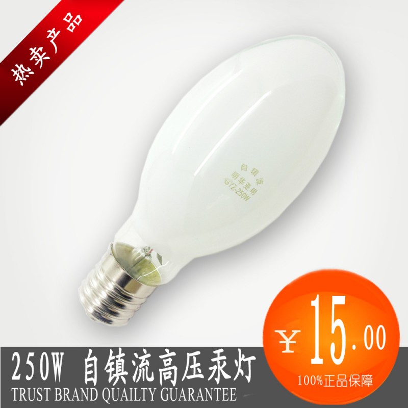 亞明牌 自鎮流高壓汞燈 水銀燈 250W 成都燈具廠傢特價直銷工廠,批發,進口,代購