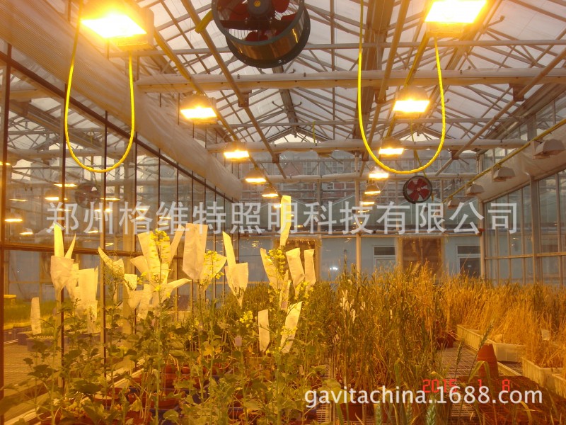 380V 750w hps grow lamp for flower lighting in greenhouse批發・進口・工廠・代買・代購