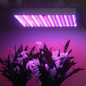 UL認證LED植物生長燈批發・進口・工廠・代買・代購