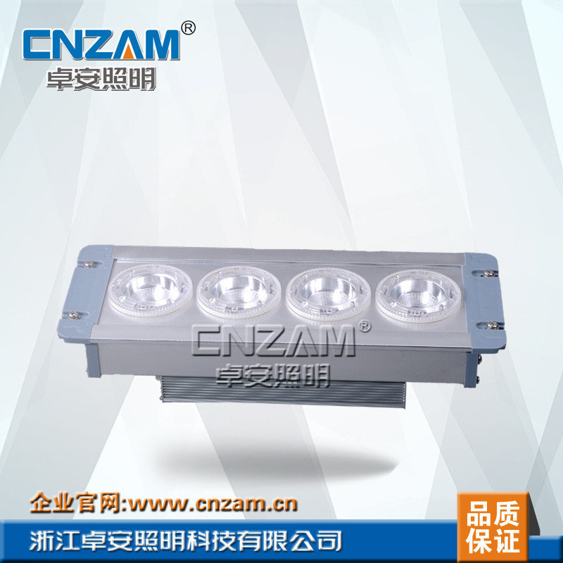 ZGD202 LED頂燈  進口普瑞的光源 小功率批發・進口・工廠・代買・代購