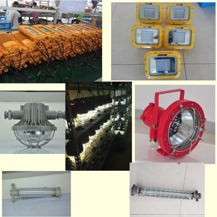 防爆燈海洋王礦用防爆燈 DGS10礦用隔爆型LED巷道燈 特價出售批發・進口・工廠・代買・代購