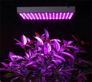 28W SMD LED植物生長燈批發・進口・工廠・代買・代購