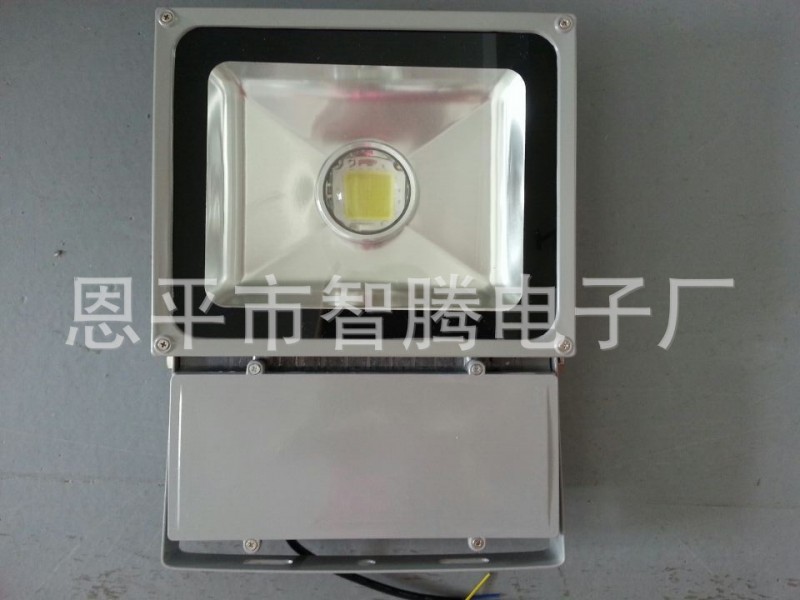 新款LED投光燈100W 防水IP66 0.5W工廠,批發,進口,代購