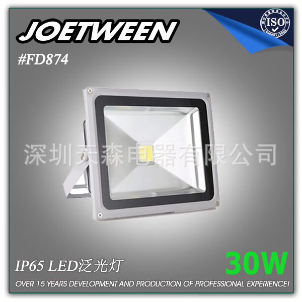 戶外IP65LED泛光燈 30W 2100LM FD874 壓鑄鋁批發・進口・工廠・代買・代購