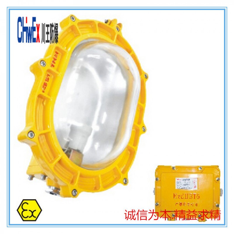 BLED9105A40W防爆投光燈 LED泛光燈  LED戶外LED泛光燈 吸頂燈工廠,批發,進口,代購