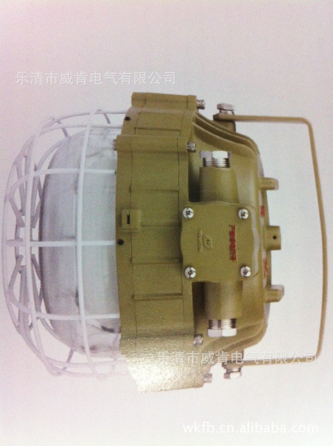 DGS55/127W(A)礦用隔爆型無極燈批發・進口・工廠・代買・代購