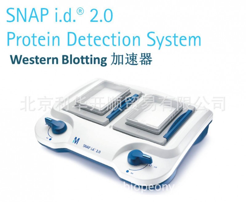 SNAP2MM | SNAP i.d. 2.0 默克密理博蛋白加速器工廠,批發,進口,代購