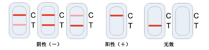 瘦肉中β-興奮劑快速檢測盒|肉類檢測|食品安全快速檢測廠傢直銷工廠,批發,進口,代購