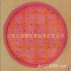 美國3M 6416 大腸菌群測試片（1ml型） 現貨特價批發・進口・工廠・代買・代購