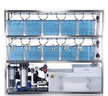 斑馬魚養殖設備批發・進口・工廠・代買・代購