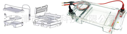 BG-subMIDI多用途水平電泳機工廠,批發,進口,代購