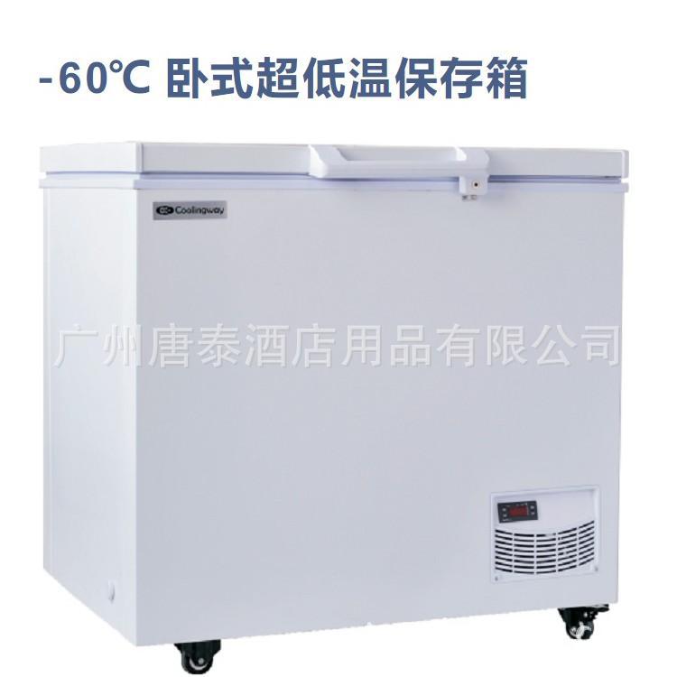 唐泰 超低溫-60℃冰箱200L 三文魚專用臥式冷櫃工廠,批發,進口,代購