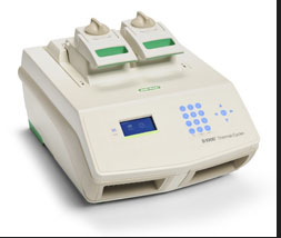 Bio-rad伯樂 S1000非觸摸屏（雙模塊） PCR機工廠,批發,進口,代購