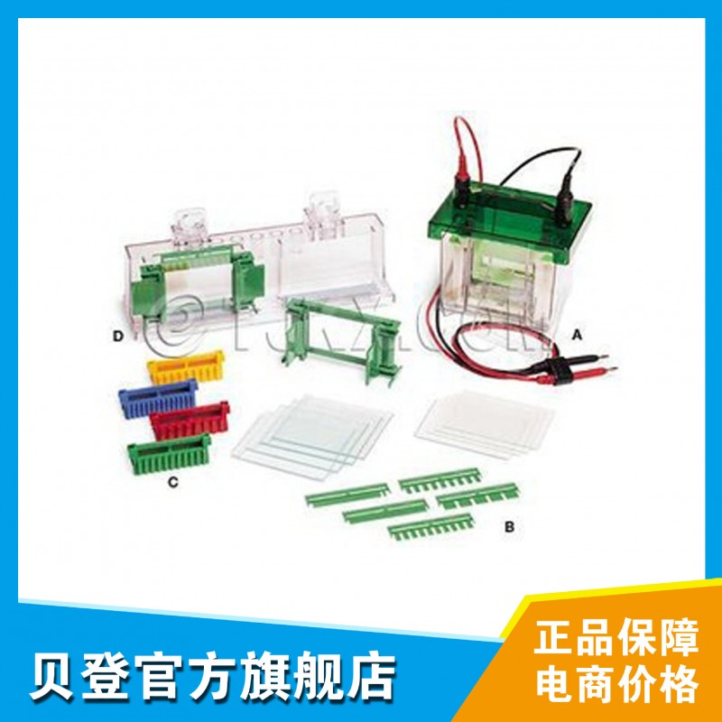 Bio-Rad伯樂 小型垂直電泳槽 1658003工廠,批發,進口,代購