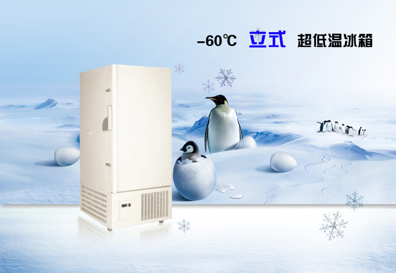 -80℃超低溫冰箱，大容量超低溫冰箱598L工廠,批發,進口,代購