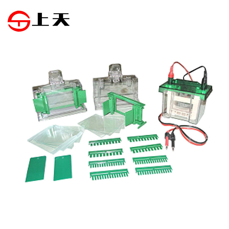 廠傢直銷  DYC-Mini1垂直電泳機 （伯樂款）工廠,批發,進口,代購