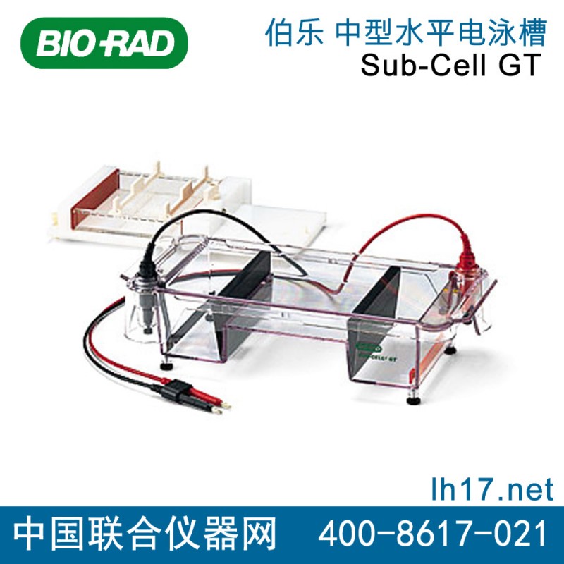 美國Bio-rad伯樂 Sub-Cell GT 電泳槽1704482工廠,批發,進口,代購