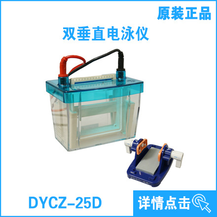 實驗室通用設備 電泳槽 雙垂直電泳機DYCZ-25D型(新品)工廠,批發,進口,代購