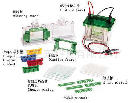 BIO-RAD美國伯樂耗材配件濾紙濾膜biorad電泳機配件封板膜孔板工廠,批發,進口,代購