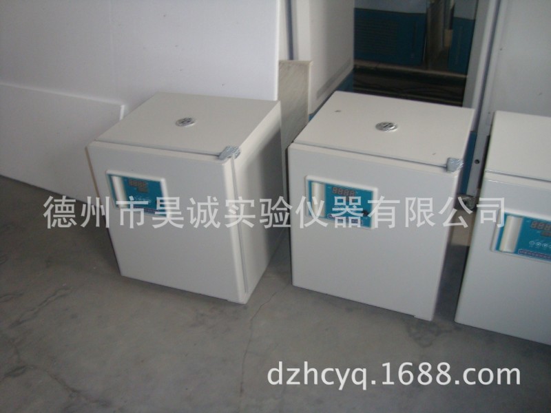 DH2500B 電熱恒溫培養箱 烤箱 烘箱 乾燥箱 260*260*260 mm工廠,批發,進口,代購