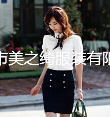 04廠傢直銷 14職業裝韓版OL 女裝短袖工作服套裝時尚正裝修身套裙工廠,批發,進口,代購