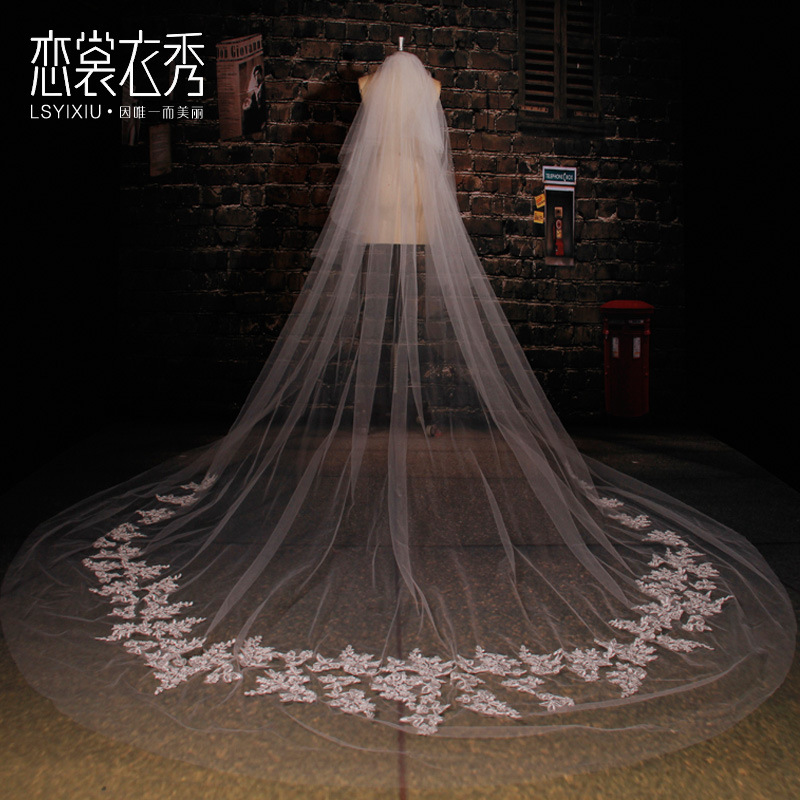 新娘結婚歐美3.5米超長拖尾very wang頭紗多層蕾絲婚紗頭飾軟紗工廠,批發,進口,代購