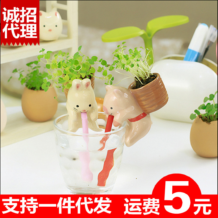 趴趴小動物渴渴吸裡小植栽 創意嘴巴吸水迷你小植物桌麵迷你盆栽工廠,批發,進口,代購