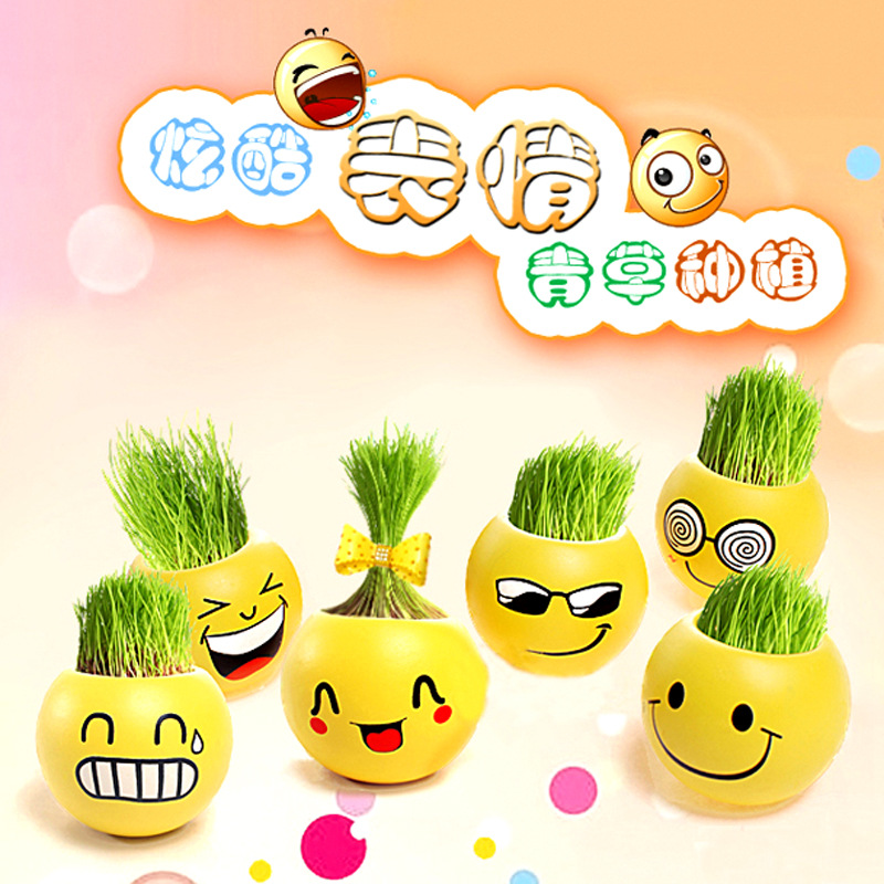 辦公室迷你植物盆栽 diy擺件微景觀生態瓶 QQ表情草娃娃魔豆草種工廠,批發,進口,代購