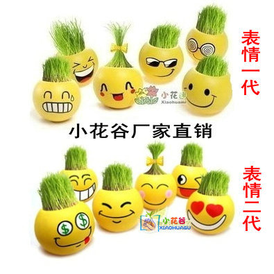 全網款式挺全長草頭娃娃（炫酷表情）苔蘚微景觀盆景青草DIy種植工廠,批發,進口,代購