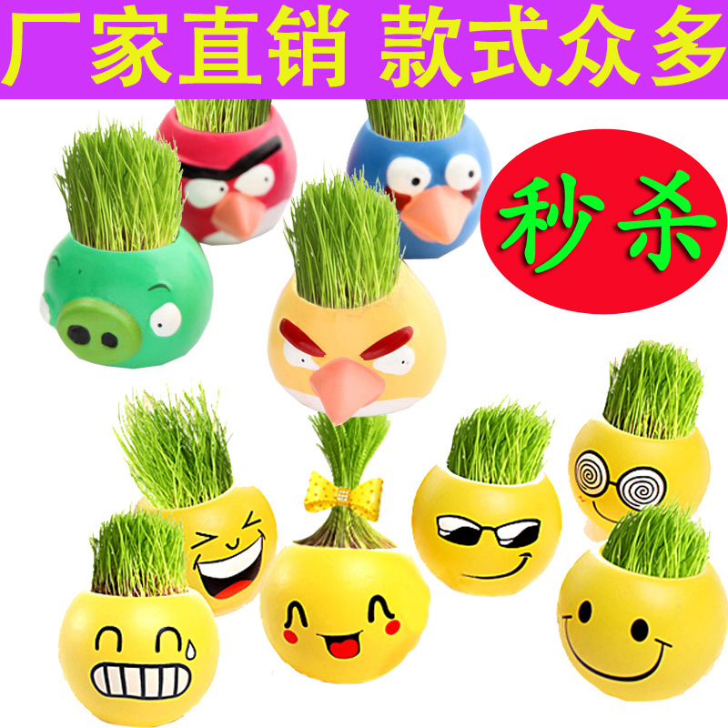 辦公室迷你植物盆栽 青草種植栽培草頭娃娃憤怒小鳥QQ表情工廠,批發,進口,代購
