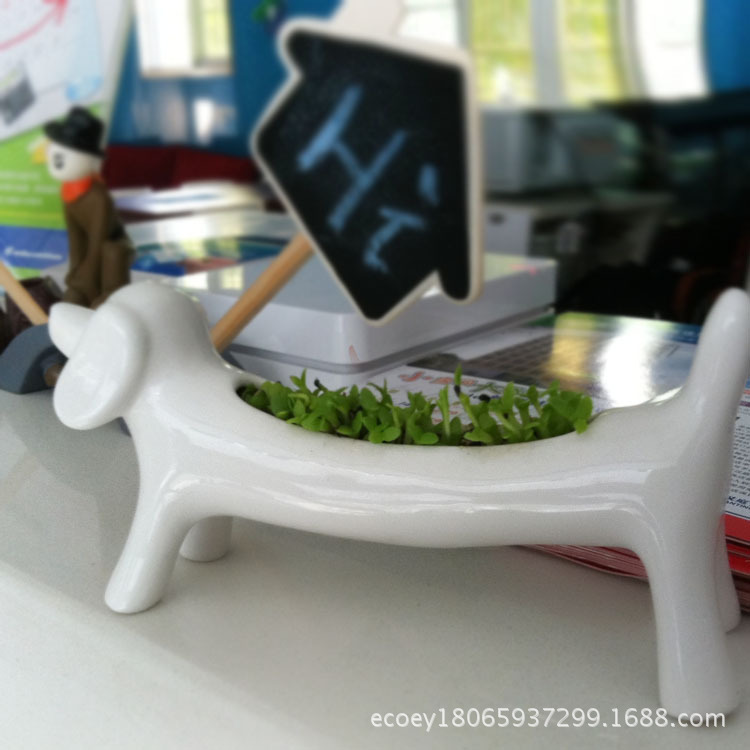 ecoey創意盆栽守財狗有氧盆栽多肉植物陶瓷擺件桌麵綠化植物批發工廠,批發,進口,代購