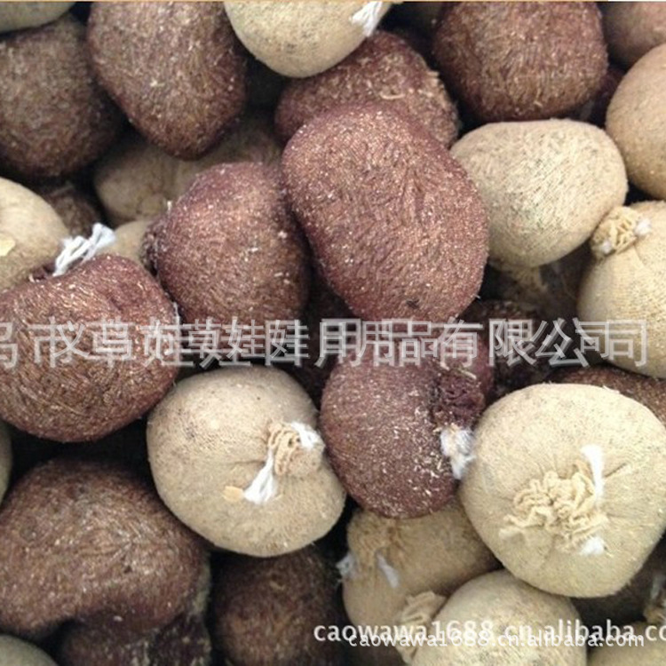 草頭娃 二次種植更換草包 草球 草籽 魔草種子 迷你植物盆栽盆景工廠,批發,進口,代購