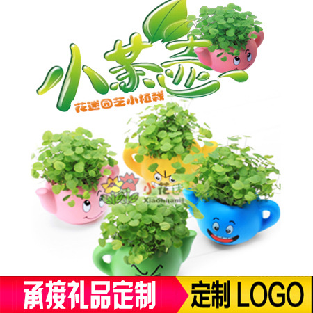 辦公室微型桌麵盆栽新奇特創意小茶壺迷你植物小盆栽微型綠植盆栽工廠,批發,進口,代購