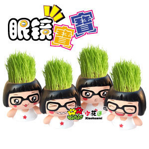 眼鏡寶寶草娃娃盆栽/迷你植物陶瓷盆景盆栽/辦公室綠植 地攤熱銷工廠,批發,進口,代購