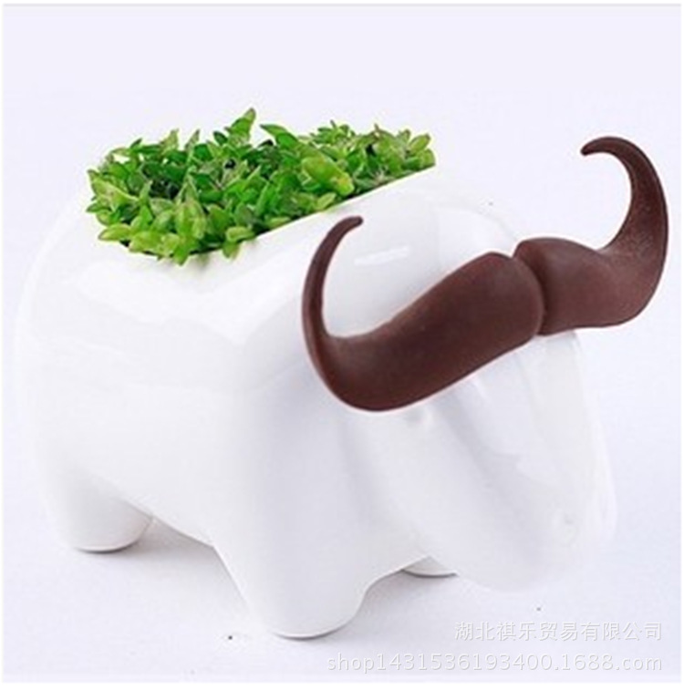 創意桌麵迷你植栽 多肉植物盆栽 電腦防輻射植物工廠,批發,進口,代購