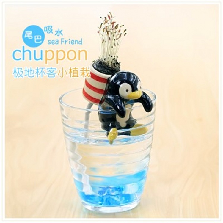 正品 創意可愛極地小動物尾巴吸水迷你水培植物小盆栽 桌麵小植栽工廠,批發,進口,代購