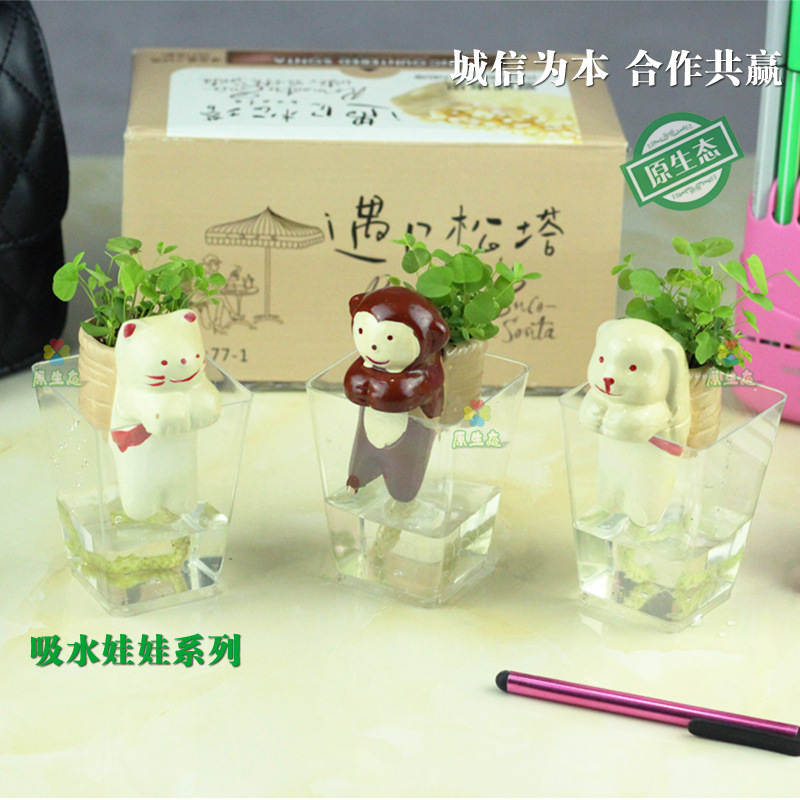 DIY種植長草頭娃娃 工藝品 迷你創意盆栽 陶瓷禮品 炫豬 可定製工廠,批發,進口,代購