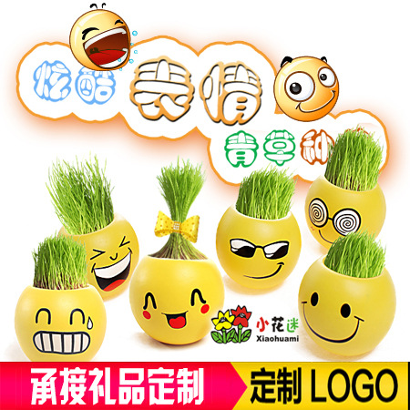 辦公室迷你植物盆栽 青草種植 QQ炫酷表情栽培草頭娃娃 禮品批發工廠,批發,進口,代購