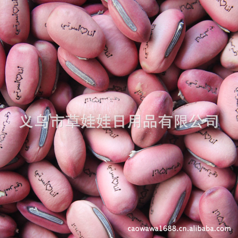 新奇特魔豆 可激光刻字 種子 紅豆 工藝品 禮品 白豆帶字工廠,批發,進口,代購