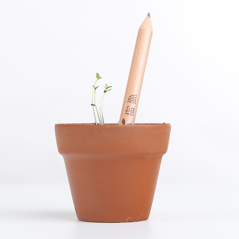 創意一款可種植的鉛筆Sprout Pencil生態種子鉛筆 8支裝/盒工廠,批發,進口,代購
