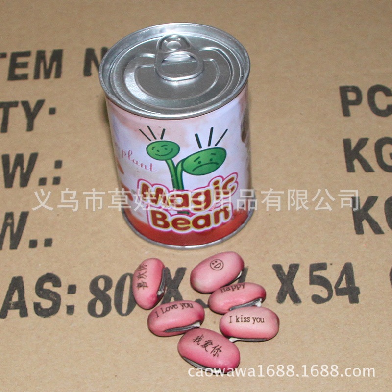 新款馬口鐵易拉罐花卉魔豆 盆栽禮品 薰衣草罐裝花卉 迷你小植物工廠,批發,進口,代購